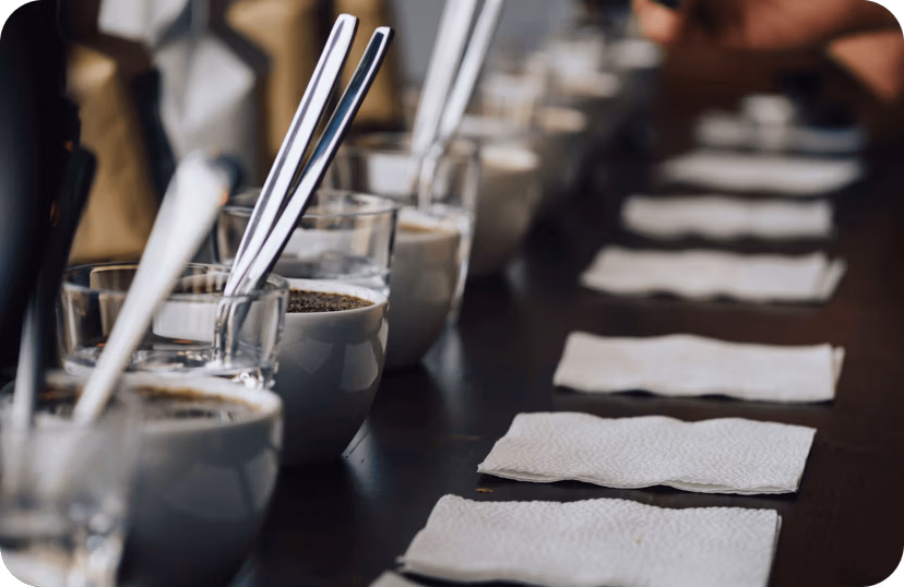 Events and Conferences